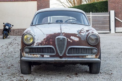 this-63-alfa-romeo-barn-find-is-for-sale-rust-included.jpg